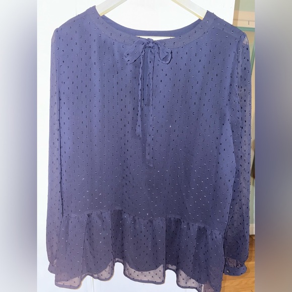 Sheer Dark Romantic Polka Dot Navy Whimsi Blouse XL With Back Bow holiday - Picture 5 of 9